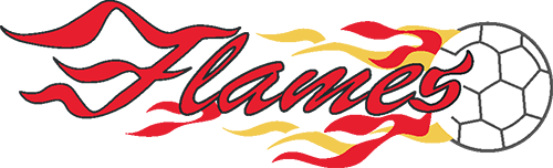 logo flames